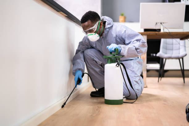 Best Residential Pest Control  in Minden, LA